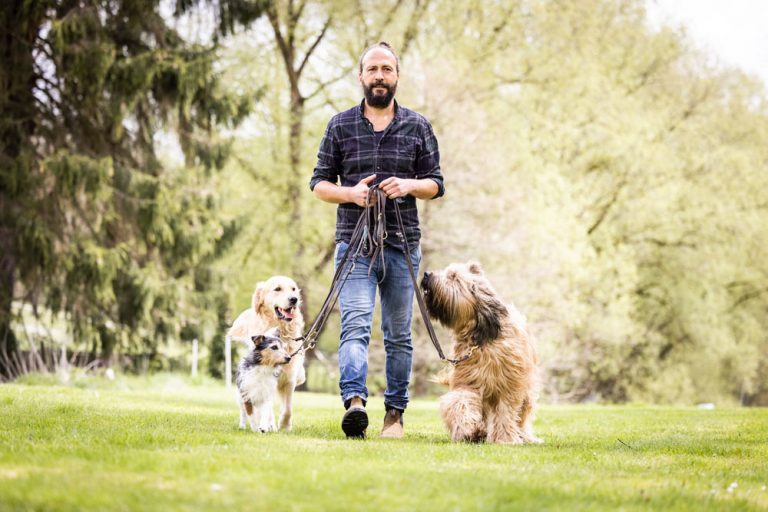 longieren-mit-hund-slider-1000px-1