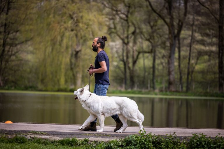 longieren-mit-hund-slider-1000px-11