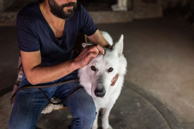 longieren-mit-hund-slider-1000px-13