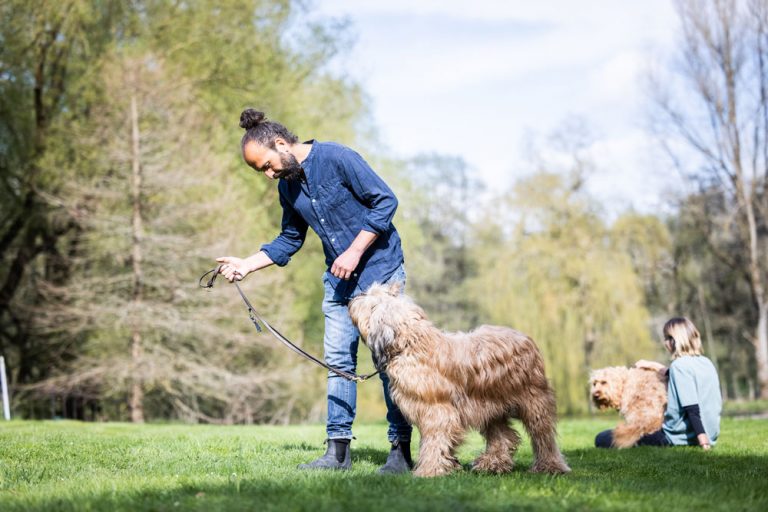 longieren-mit-hund-slider-1000px-14