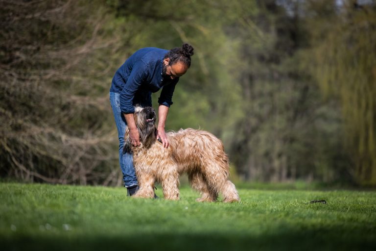 longieren-mit-hund-slider-1000px-15