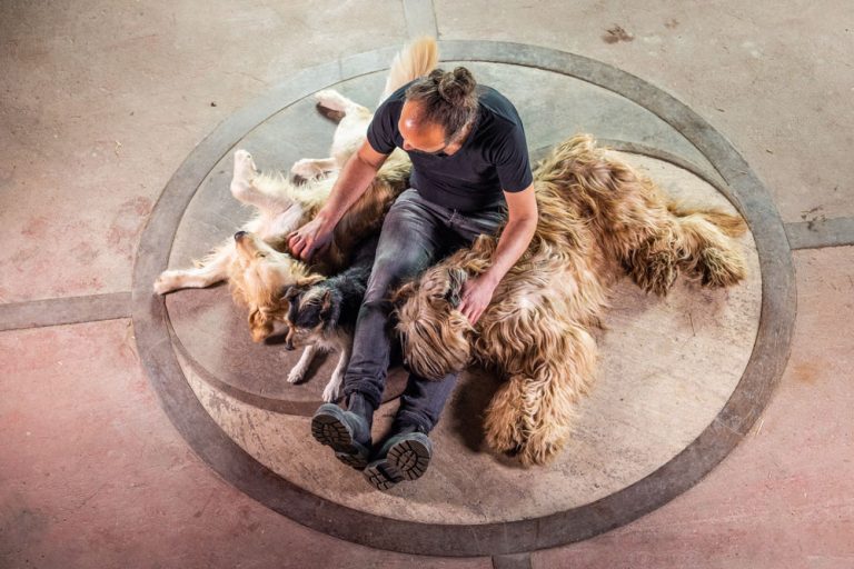 longieren-mit-hund-slider-1000px-17