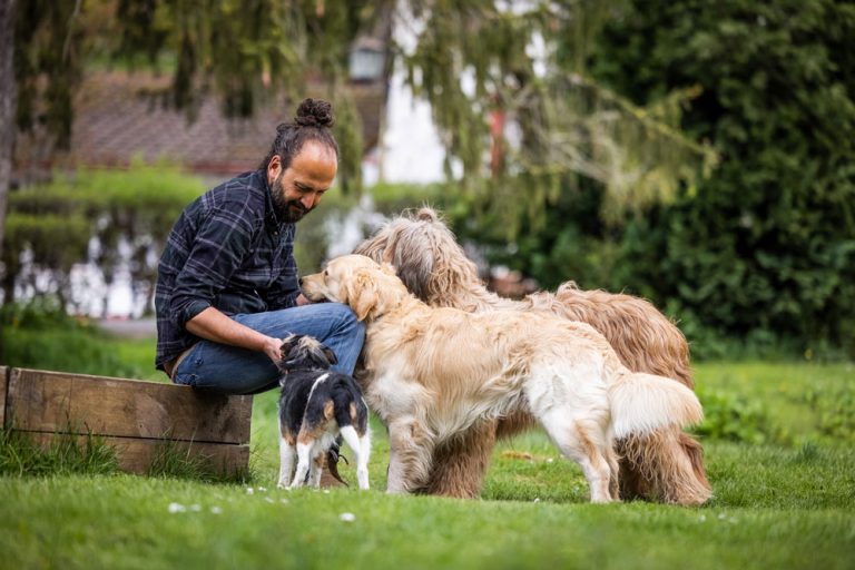longieren-mit-hund-slider-1000px-2
