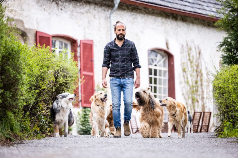 longieren-mit-hund-slider-1000px-20