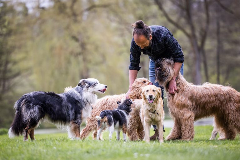 longieren-mit-hund-slider-1000px-22