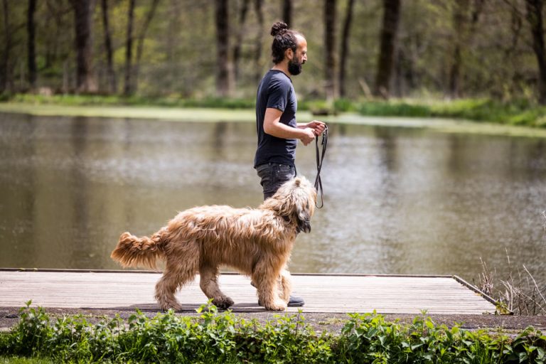 longieren-mit-hund-slider-1000px-7