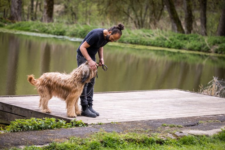 longieren-mit-hund-slider-1000px-9